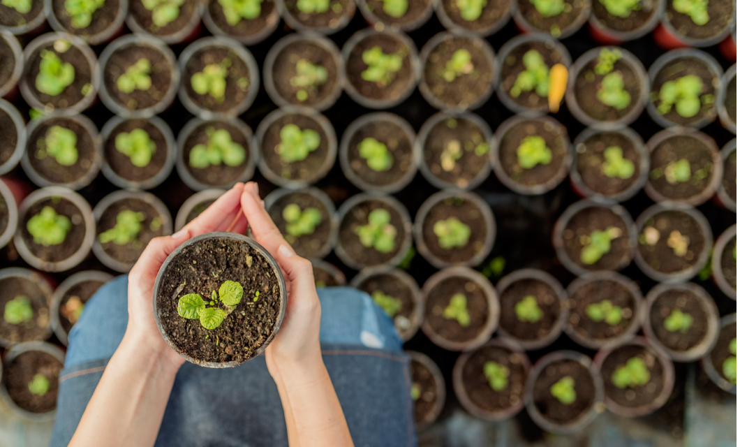 Four Things Wrong with How We Teach Plant Science