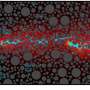 Soil heterogeneity hel