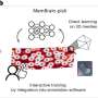 Weeks of work in a few