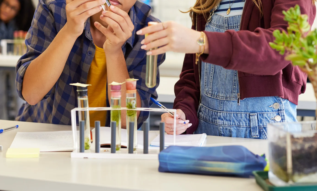 Plant Science in STEM Education