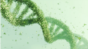 Integrative Bioinformatics Activities for Plant-based Discussions