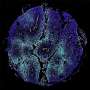 A new tissue atlas wil