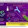 How escherichia coli e