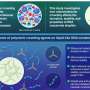 Macromolecular crowdin