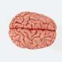 Right brain