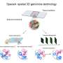 Spatial genomics tool