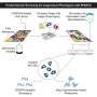 Tracking down cellular 1